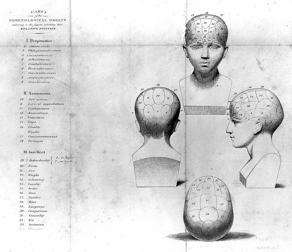 Elements of phrenology / [George Combe].