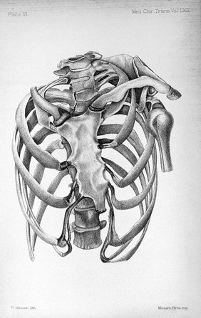 Medico-chirurgical transactions.