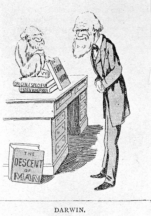 Half-tone reproduction: caricature of C. R.