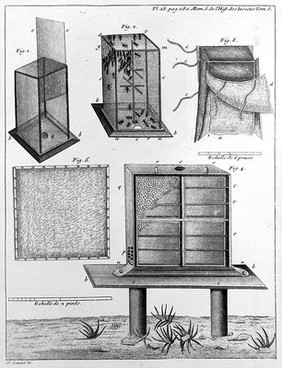 Mémoires pour servir à l'histoire des insectes / [René-Antoine Ferchault de Réaumur].