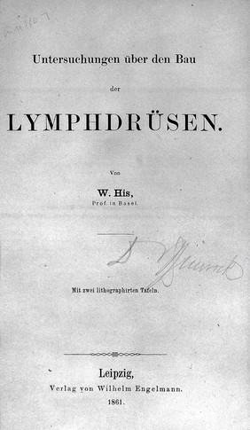 W. His, Untersuchungen uber den Bau der Lymphdrusen, 1861.