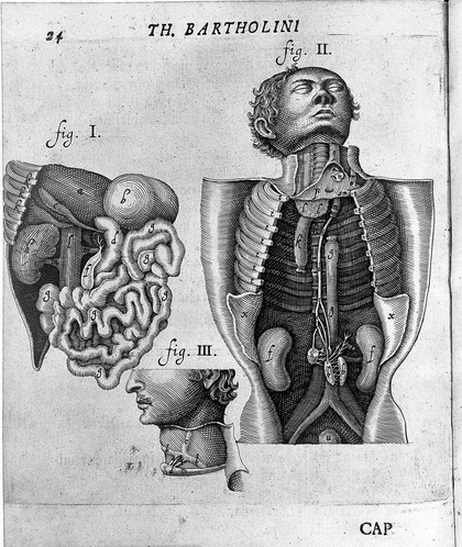 De lacteis thoracicis in homine brutisque nuperrime observatis, historia anatomica ... Resp. M. Lysero / [Thomas Bartholin].