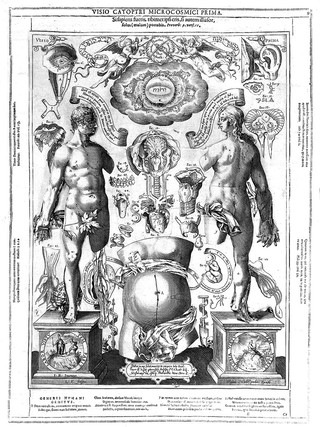 Catoptrum microcosmicum suis aere incisis visionibus splendens, cum historia, et pinace, de novo prodit / [Johann Remmelin].