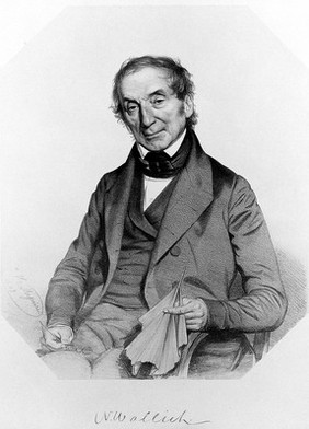 Nathaniel Wallich. Lithograph by T. H. Maguire, 1849.