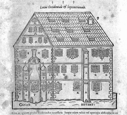 D.O.M.A. Alchymia trivmphans de inivsta in se Collegii Galenici spvrii in Academia Parisiensi censvra; et Ioannis Riolani maniographia, falsi conuicta et funditus euersa. Opvs hermeticvm vere didacticvm ... solida explicans chymiatriæ Hippocraticæ fundamenta: de qvinta essentia, magno perfectoqve lapidis magisterio, principiis, extractis, oleis, aquis, salibus, elixyribus, etc. diligenter elaboratvm / [Andreas Libavius].