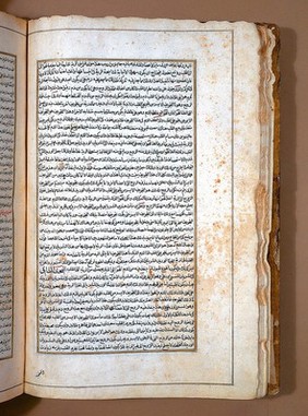 Commentary on Avicenna's Canon, Ibn an-Nafis