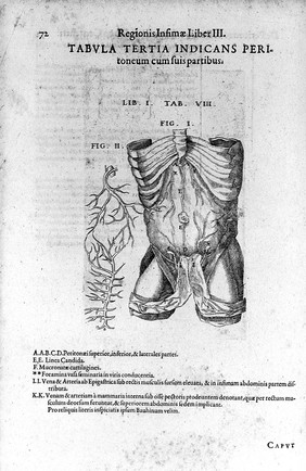 Anatomiae amphitheatrum effigie triplici, more et conditione varia, designatum. [Sectionis primae portio tertia, de anatomia triplici. Monochordum mundi symphoniacum, seu replication / R. Flud ... ad apologiam ... J. Kepleri, adversus demonstrationem suam analyticam].