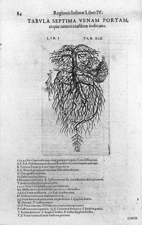 Anatomiae amphitheatrum effigie triplici, more et conditione varia, designatum. [Sectionis primae portio tertia, de anatomia triplici. Monochordum mundi symphoniacum, seu replication / R. Flud ... ad apologiam ... J. Kepleri, adversus demonstrationem suam analyticam].