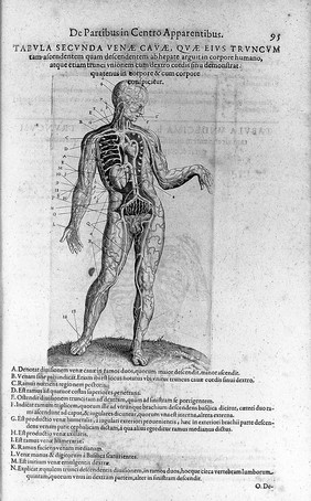 Anatomiae amphitheatrum effigie triplici, more et conditione varia, designatum. [Sectionis primae portio tertia, de anatomia triplici. Monochordum mundi symphoniacum, seu replication / R. Flud ... ad apologiam ... J. Kepleri, adversus demonstrationem suam analyticam].