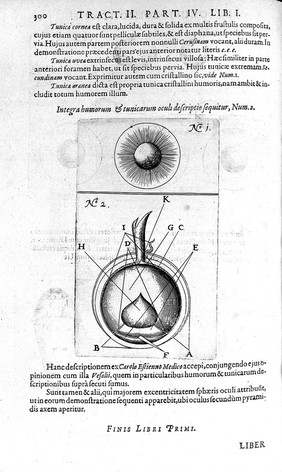 Utriusque cosmi maioris scilicet et minoris metaphysica, physica atque technica historia ... [Tractatus secundus de naturae simia seu technica macrocosmi historia] / [Robert Fludd].