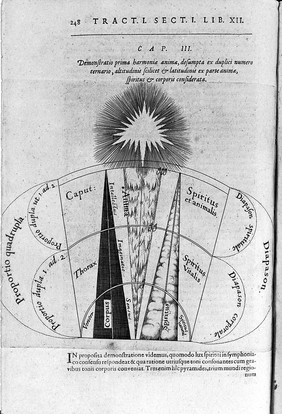 Utriusque cosmi maioris scilicet et minoris metaphysica, physica atque technica historia ... [Tractatus secundus de naturae simia seu technica macrocosmi historia] / [Robert Fludd].