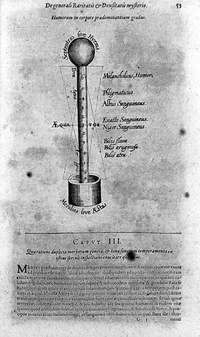 Integrum morborum mysterium, sive medicinæ catholicæ tomi primi tractatus secundus. [Pulsus seu nova et arcana pulsuum historia ... Hoc est, portionis tertiae pars tertia, de pulsuum scientia ... medicorum ... sive tomi primi tractatus secundi, sectio secunda, de morborum signis ... hoc est, divinatio per urinam.] In sectiones distributus duas : quorum ... / authore Robert Fludd, alias De Fluctibus.