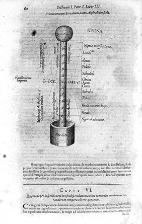 Integrum morborum mysterium, sive medicinæ catholicæ tomi primi tractatus secundus. [Pulsus seu nova et arcana pulsuum historia ... Hoc est, portionis tertiae pars tertia, de pulsuum scientia ... medicorum ... sive tomi primi tractatus secundi, sectio secunda, de morborum signis ... hoc est, divinatio per urinam.] In sectiones distributus duas : quorum ... / authore Robert Fludd, alias De Fluctibus.