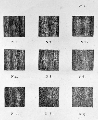 Mémoire sur la structure élémentaire des principaux tissus organiques des animaux / [H. Milne-Edwards].