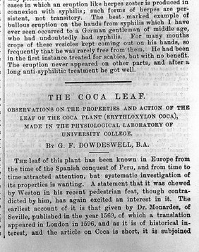 From: Dowdeswell's 'The coca leaf'