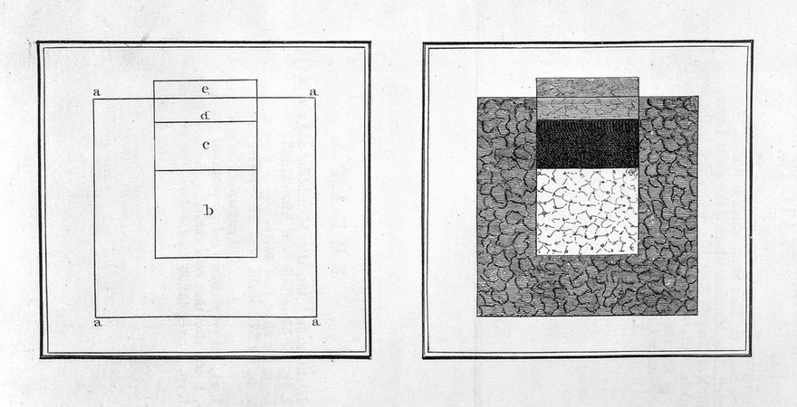 An account of the regular gradation in man, and in different animals and vegetables; and from the former to the latter / By Charles White.