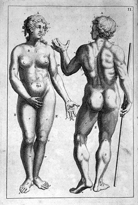 Tabulae anatomicae in quibus corporis humani omniumque ejus partium structura et usus brevissime explicantur. Acc. ... annotationes / [Johann Adam Kulmus].