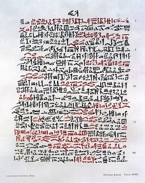 Papyros Ebers : das hermetische Buch über die Arzeneimittel der alten Ägypter in hieratischer Schrift / herausgegeben mit Inhaltsangabe und Einleitung versehen von Georg Ebers. Mit hieroglyphisch-lateinischem Glossar, von Ludwig Stern. Mit Unterstützung des Königlich Sächsischen Cultusministerium.