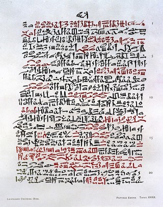 Papyros Ebers : das hermetische Buch über die Arzeneimittel der alten Ägypter in hieratischer Schrift / herausgegeben mit Inhaltsangabe und Einleitung versehen von Georg Ebers. Mit hieroglyphisch-lateinischem Glossar, von Ludwig Stern. Mit Unterstützung des Königlich Sächsischen Cultusministerium.