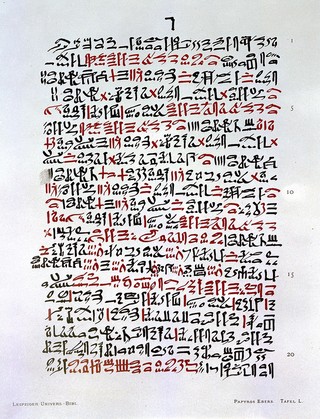 Papyros Ebers : das hermetische Buch über die Arzeneimittel der alten Ägypter in hieratischer Schrift / herausgegeben mit Inhaltsangabe und Einleitung versehen von Georg Ebers. Mit hieroglyphisch-lateinischem Glossar, von Ludwig Stern. Mit Unterstützung des Königlich Sächsischen Cultusministerium.