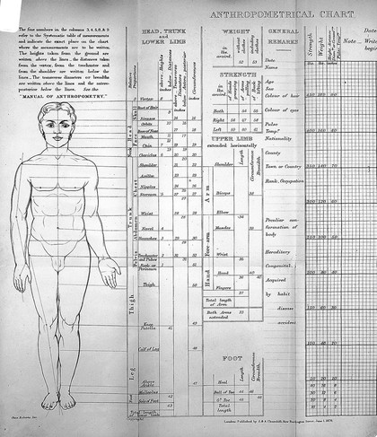 A manual of anthropometry, or, A guide to the physical examination and measurement of the human body : containing a systematic table of measurements, an anthropometrical chart or register, and instructions for making measurement on a uniform plan / by Charles Roberts.