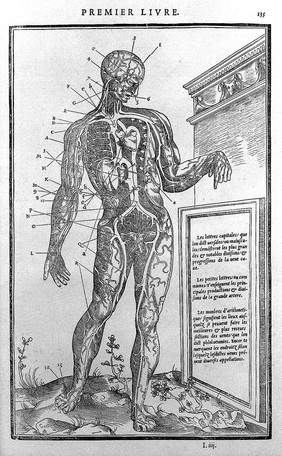 La dissection des parties du corps humain : avec les figures & declaratiõ des incisions, composées par Estienne de la Riuiere. Imprimé à Paris, chez Simon de Colines, 1546.