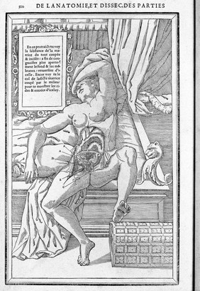 La dissection des parties du corps humain : avec les figures & declaratiõ des incisions, composées par Estienne de la Riuiere. Imprimé à Paris, chez Simon de Colines, 1546.