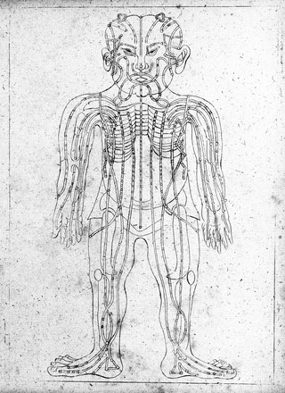 Specimen medicinae Sinicae, sive opuscula medica ad mentem Sinensium, continens: I. De pulsibus libros quatuor e Sinico translatos; II. Tractatus de pulsibus ab erudito Europaeo collectos; III. Fragmentum operis medici ibidem ab erudito Europaeo conscripti; IV. Excerpta literis eruditi Europaei in China; V. Schemata ad meliorem praecedentium intelligentiam; VI. De indiciis morborum ex linguae coloribus et affectionibus / ... Edidit Andreas Cleyer.