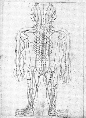 Specimen medicinae Sinicae, sive opuscula medica ad mentem Sinensium, continens: I. De pulsibus libros quatuor e Sinico translatos; II. Tractatus de pulsibus ab erudito Europaeo collectos; III. Fragmentum operis medici ibidem ab erudito Europaeo conscripti; IV. Excerpta literis eruditi Europaei in China; V. Schemata ad meliorem praecedentium intelligentiam; VI. De indiciis morborum ex linguae coloribus et affectionibus / ... Edidit Andreas Cleyer.