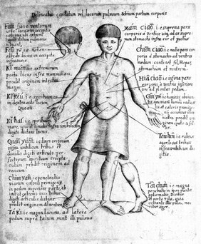 Specimen medicinae Sinicae, sive opuscula medica ad mentem Sinensium, continens: I. De pulsibus libros quatuor e Sinico translatos; II. Tractatus de pulsibus ab erudito Europaeo collectos; III. Fragmentum operis medici ibidem ab erudito Europaeo conscripti; IV. Excerpta literis eruditi Europaei in China; V. Schemata ad meliorem praecedentium intelligentiam; VI. De indiciis morborum ex linguae coloribus et affectionibus / ... Edidit Andreas Cleyer.