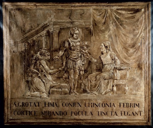 Episodes in the history of cinchona 2: the countess of