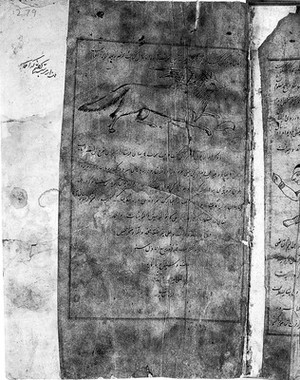 view Folio 279 recto, Persian Manuscript 135