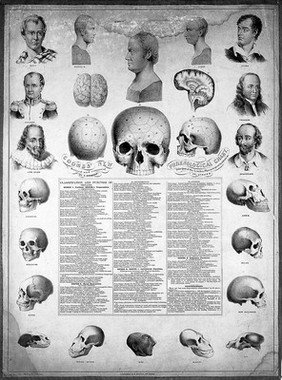 Lithograph: Coombs' New Phrenological Chart