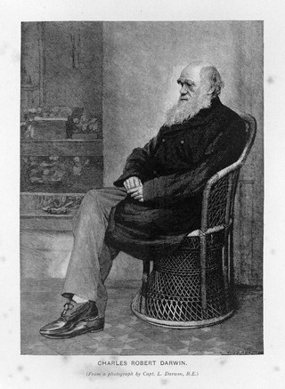 Charles Robert Darwin. Wood engraving by T. Johnson, 1883, after L. Darwin, 1874.