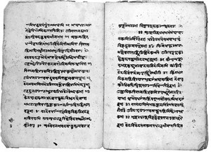 view S'lokadvayi, Abhinavagoptapada: folio 2 verso - 3 recto