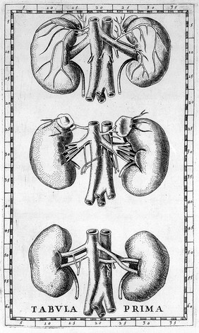 Tabulae anatomicae / clarissimi Bartholomaei Eustachii ... ; praefatione, ac notis illustravit Joh. Maria Lancisius.