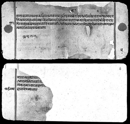 Bilvamangala's Balagopalastuti: folio 5 verso - 6 recto