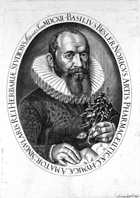 Portrait of Basilius Besler (1561-1629)