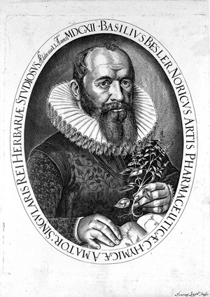 view Portrait of Basilius Besler (1561-1629)