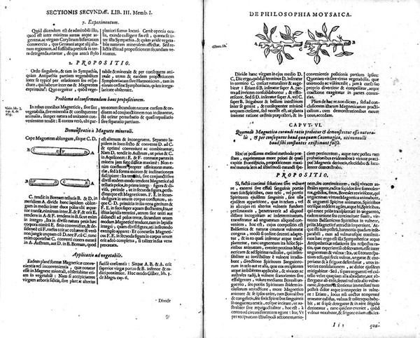 Philosophia Moysaica. In qua sapientia et scientia creationis et creaturarum sacra veréque Christiana (vt pote cujus basis sive fundamentum est unicus ille Lapis Angularis Iesus Christus) ad amussim et enucleaté explicatur / Authore Rob. Flud, alias De Fluctibus.