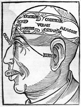 The noble experyence of the vertuous handy warke of surgeri / practysyd & compyled by the moost experte mayster Jherome of Bruynswyke borne ine Straesborowe in Almayne ye whiche hath it fyrst proved and trewly founde by his awne dayly exerycsynge ... Here also shall ye fynde for to cure & hele all wounded membres, and other swellynges ... Item here shall ye fynde also for to make salves, plasters, powders, oyles, and drynkes for woundes.