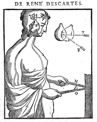 L'homme ... et un traitté de la formation du fœtus. Du mesme autheur / Avec les remarques de Louys de la Forge ... sur le traitté de l'homme.