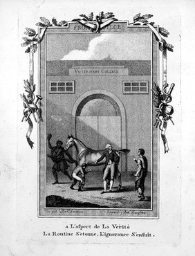 Lectures on the elements of farriery: or, the art of horse-shoeing, and on the diseases of the foot. Designed chiefly for the use of the pupils of the Veterinary College, London / By Charles Vial de Sainbel.