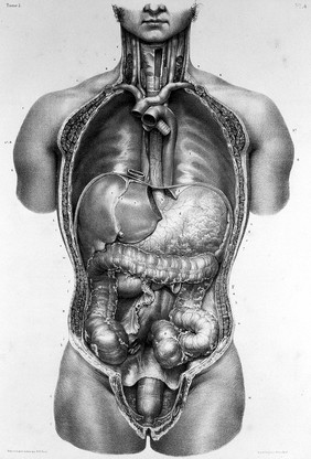 Traité complet de l'anatomie de l'homme comprenant la médecine opératoire ... : avec planches lithographiées ... / par N.H. Jacob.