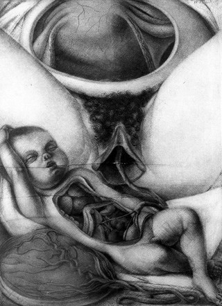 Anatomie generale des visceres en situation, de grandeur et couleur naturelle, avec l'angeologie, et la nevrologie de chaque partie ... La perte de M. Duverney ... est reparée par M. Mertrud, qui ... continuera les dissections ... On trouve ci-après les explications que M. Metrud a faites / [Jacques Gautier D'Agoty].