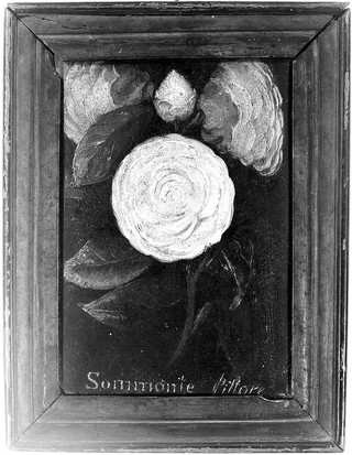 Figs and a tomato. Oil painting by Summonte, 18--.