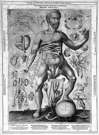 Catoptrum microcosmicum ... visionibus splendens, cum historia, et pinace, de novo prodit / [Johann Remmelin].