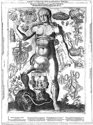 Catoptrum microcosmicum ... visionibus splendens, cum historia, et pinace, de novo prodit / [Johann Remmelin].
