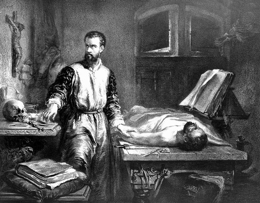 Lithograph: portrait of A. Vesalius