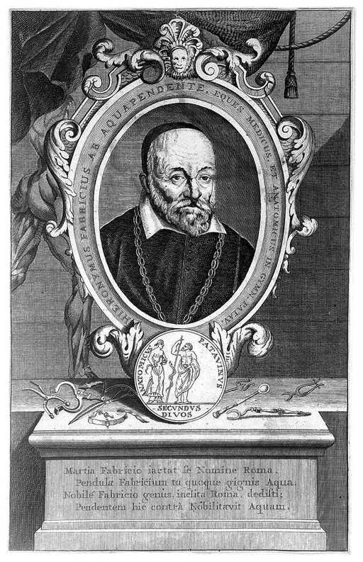 FABRICIUS OF AQUAPENDENTE, Hieronymus {1533-1619}